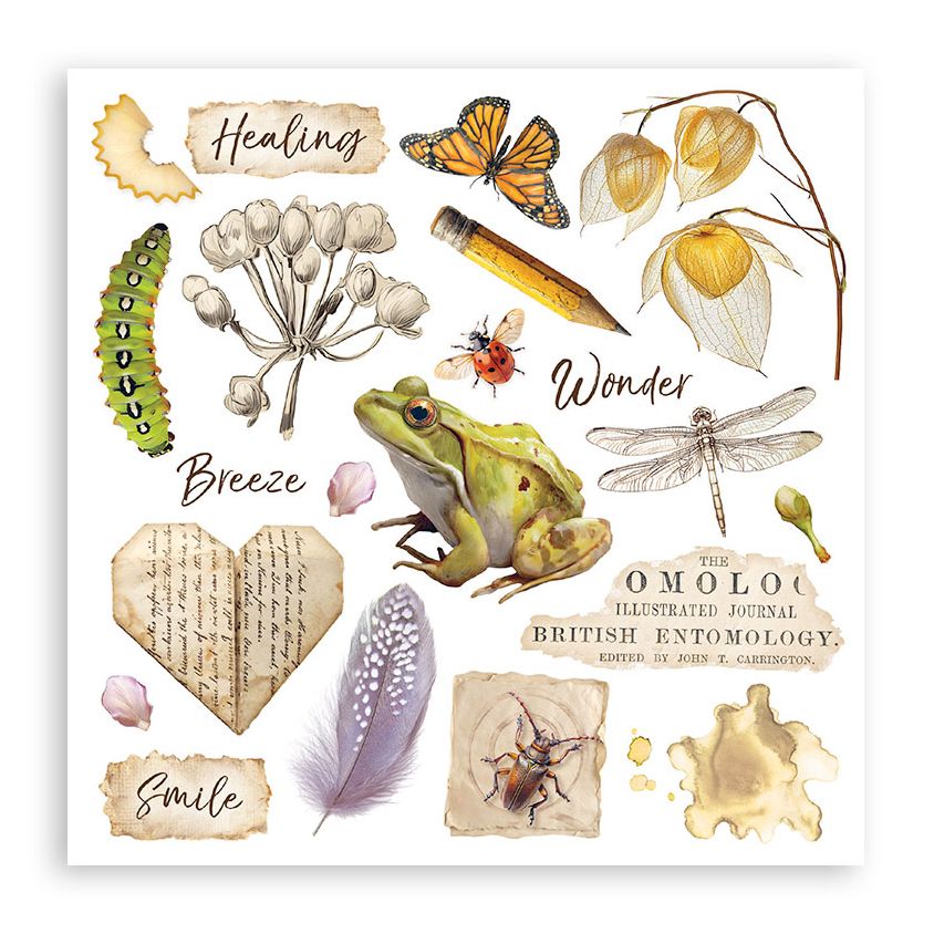 Illustrated collage with nature-themed elements including a frog, butterfly, and flowers on a white background.