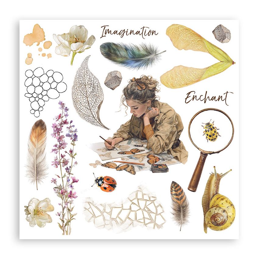 Illustration of a woman studying nature with various items like flowers, leaves, and a magnifying glass on a white background.