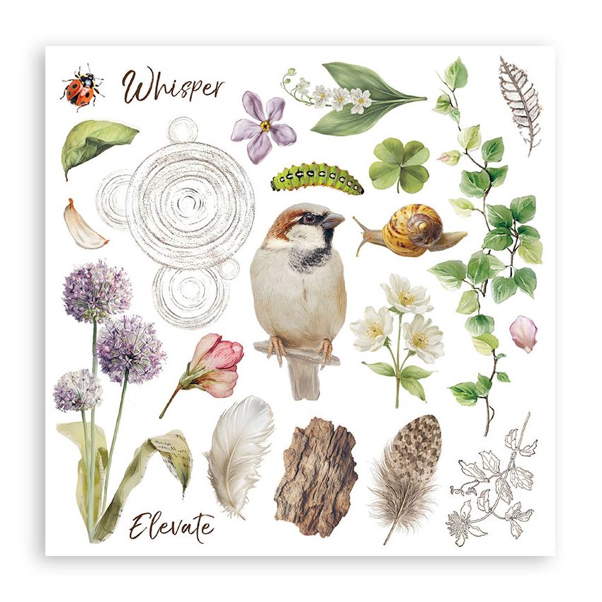 Illustrations of a bird, flowers, leaves, and nature elements on a white background.