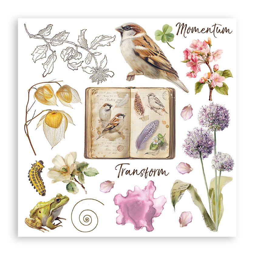 Illustration of a book with nature-themed images including birds, flowers, and plants on a white background.