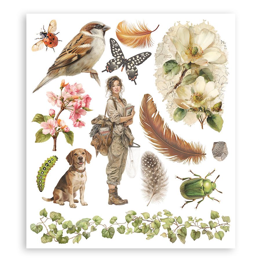 Illustration of a woman with a dog, surrounded by nature elements like flowers, birds, and insects on a white background.