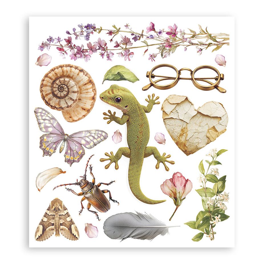 Illustrated collection of a lizard, butterfly, flowers, shell, glasses, and other nature-themed items on a white background.