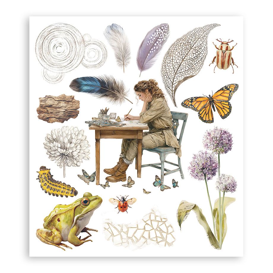 Illustration of a person at a desk surrounded by nature elements like a frog, butterfly, and plants.